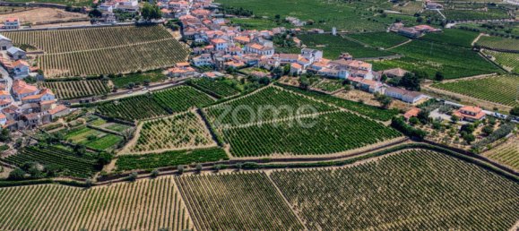 9 bedrooms Castles in Favaios, Portugal No. 249438 47