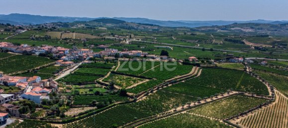 9 bedrooms Castles in Favaios, Portugal No. 249438 42