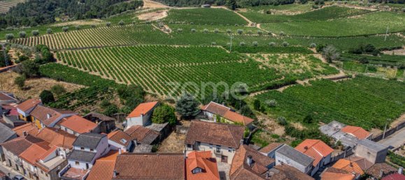 9 bedrooms Castles in Favaios, Portugal No. 249438 36