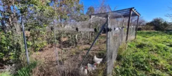 4 Schlafzimmer Haus in Zaragoza, Spain, Nr. 113497 23