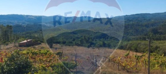 3 bedrooms House in Pedraca, Portugal No. 185112 8