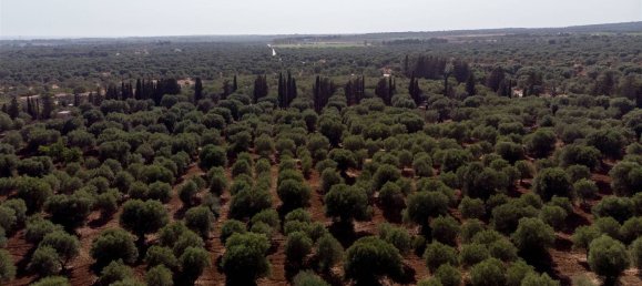 16-Zimmer Haus in Maruggio, Italy, Nr. 34618 36