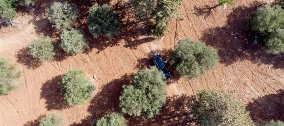 16-Zimmer Haus in Maruggio, Italy, Nr. 34618 38