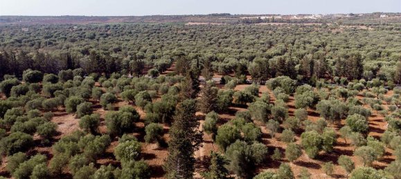 16-Zimmer Haus in Maruggio, Italy, Nr. 34618 32