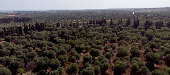 16-Zimmer Haus in Maruggio, Italy, Nr. 34618 35