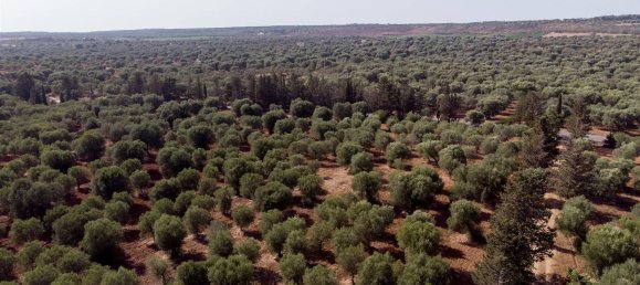 16-Zimmer Haus in Maruggio, Italy, Nr. 34618 37