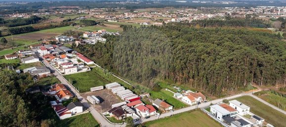 4 Schlafzimmer Haus in Oliveira do Bairro, Portugal, Nr. 39981 16