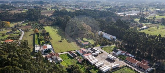 4 Schlafzimmer Haus in Oliveira do Bairro, Portugal, Nr. 39981 14