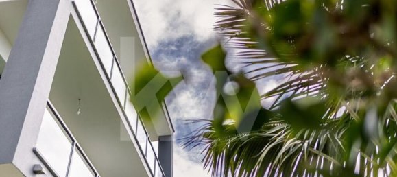 3 غرف نوم منزل في Ribeira Brava, Portugal رقم 77591 7