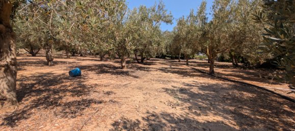 Terreno em Cartagena, Spain 1200 m² N.º 163230 18