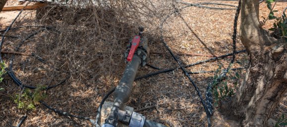 Terreno em Cartagena, Spain 1200 m² N.º 163230 19