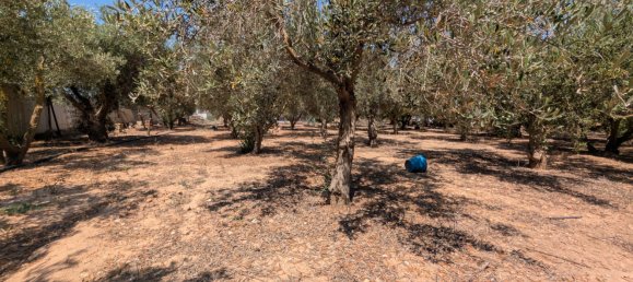 Terreno em Cartagena, Spain 1200 m² N.º 163230 17