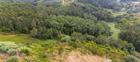 Villa T4 em Mafra, Portugal N.º 291389 15