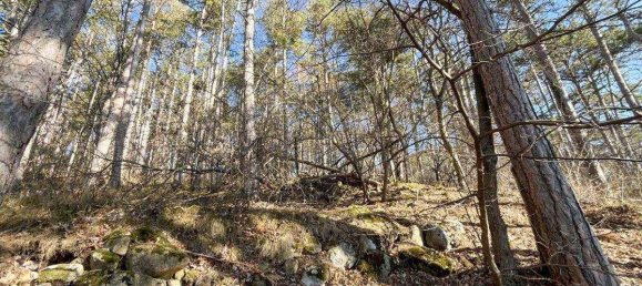 3960m² Land in Wurflach, Austria No. 168229 3