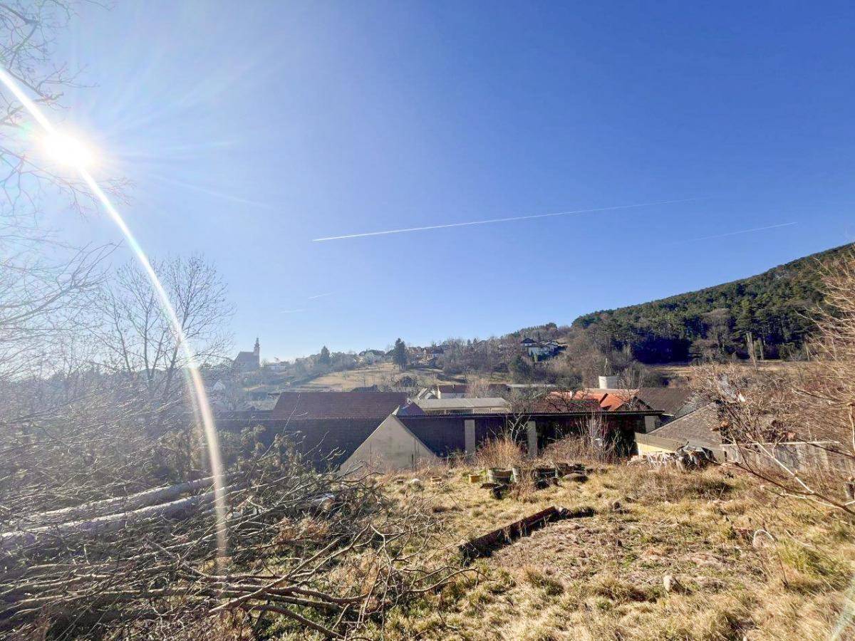 3960m² Land in Wurflach, Austria No. 168229