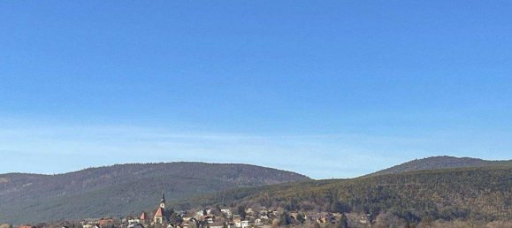 3960m² Land in Wurflach, Austria No. 168229 6