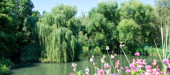 3 bedrooms House in Drusenheim, France No. 92700 7