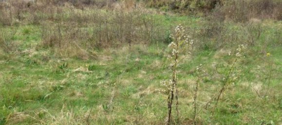 Terreno en Noyon, France 2596 m² No. 212630 2