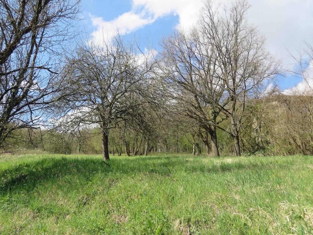 Terreno en Neckar-Odenwald-Kreis, Germany No. 33516