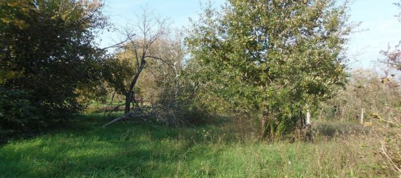 4 bedrooms House in Lacs, France No. 154727 18