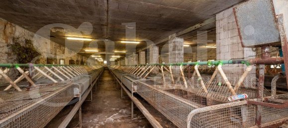 5 rooms Warehouse in Padua, Italy No. 281460 4