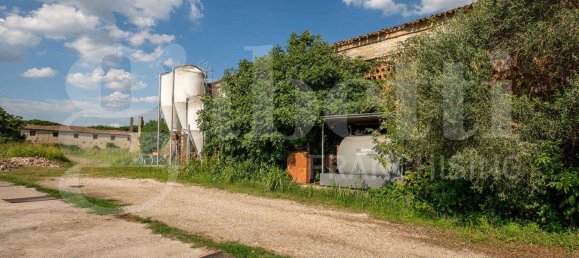 5 rooms Warehouse in Padua, Italy No. 281460 9