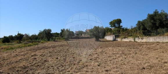 3 bedrooms House in Sardoal, Portugal No. 167840 18