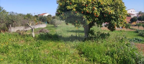 3 bedrooms House in Sardoal, Portugal No. 167840 15