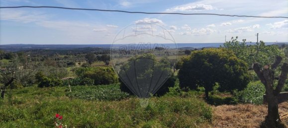 3 bedrooms House in Sardoal, Portugal No. 167840 12