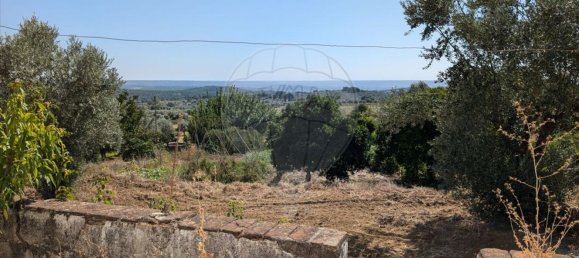 3 bedrooms House in Sardoal, Portugal No. 167840 13