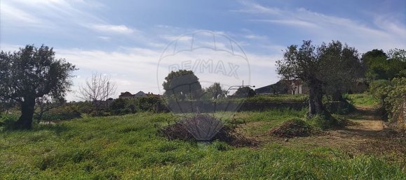 3 bedrooms House in Sardoal, Portugal No. 167840 14