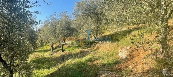 3 bedrooms Villa in Massa, Italy No. 155175 45