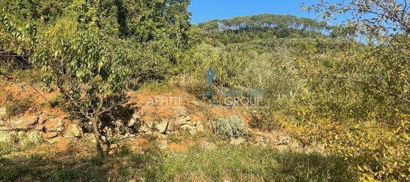 3 bedrooms Villa in Massa, Italy No. 155175 50