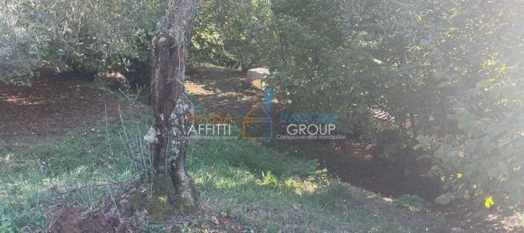 3 bedrooms Villa in Massa, Italy No. 155175 49