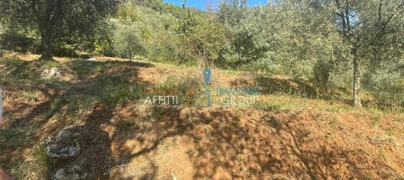 3 bedrooms Villa in Massa, Italy No. 155175 48