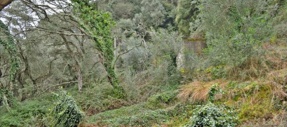 600m² Townhouse in Corfu, Greece No. 6459 26