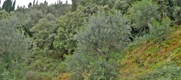 600m² Townhouse in Corfu, Greece No. 6459 25