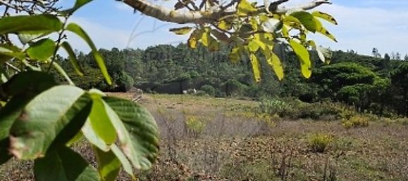 Casa de 4 dormitorios en Sao Martinho do Porto, Portugal No. 16163 20