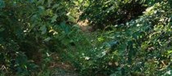 1400m² Land in Sestu, Italy No. 273549 4