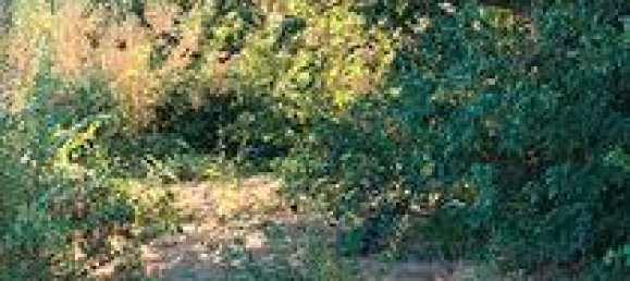 1400m² Land in Sestu, Italy No. 273549 3