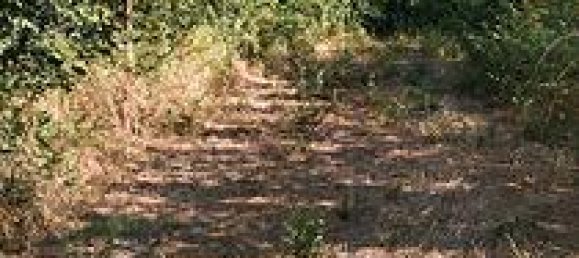 1400m² Land in Sestu, Italy No. 273549 5