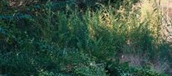 1400m² Land in Sestu, Italy No. 273549 2