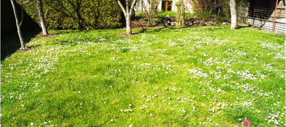 8-salle Maison de ville à Kitzingen, Germany No. 320153 5