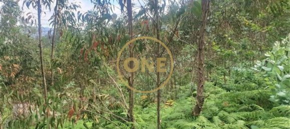 قطعة أرض في Vila Nova de Famalicao, Portugal 13700متر مربع رقم 35311 4