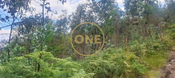 قطعة أرض في Vila Nova de Famalicao, Portugal 13700متر مربع رقم 35311 3