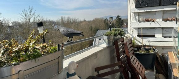 1 غرف نوم شقة في Offenbach, Germany رقم 326163 5