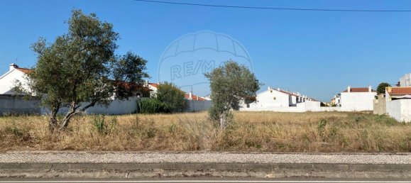 5000m² Land in Benavente, Portugal No. 82130 5