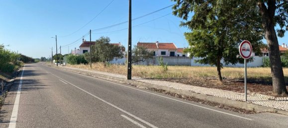 5000m² Land in Benavente, Portugal No. 82130 6