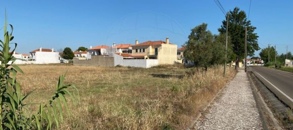5000m² Land in Benavente, Portugal No. 82130 3