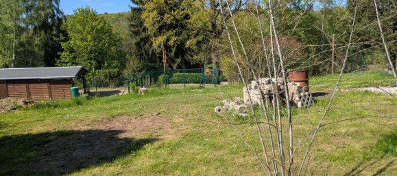 Land in Zwickau, Germany No. 230611 9